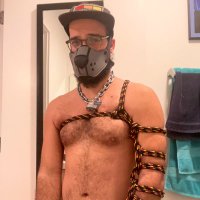 Radler🐶 (@goodboyradler) 's Twitter Profile