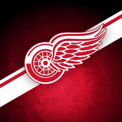 Go Wings!