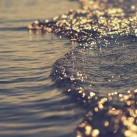 ‏فاطمۃ (@fhm_q8) 's Twitter Profile