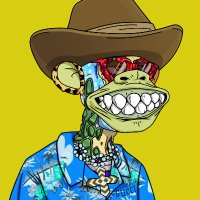 benmayorwhite.eth π (@benmayorwhite) 's Twitter Profile