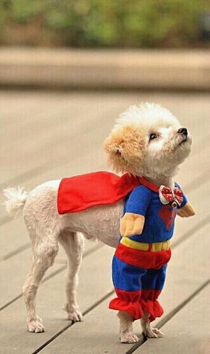 세상에서 행복하기♥