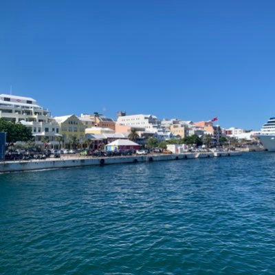 TessOrtega's profile picture. Trying to get by one day at a time