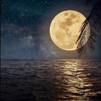 Lucky__chicken's profile picture. 