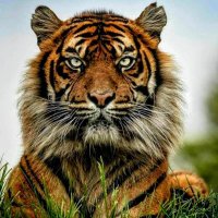 Javier_45 Nw (@jav45_e) 's Twitter Profile