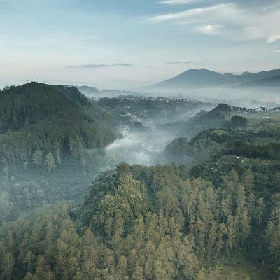 LauraBudiHart's profile picture. 