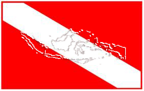 divetripindo's profile picture. Book and Dive!