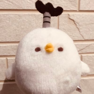 ぴすけ ピスケのすけ (@piskenosuke) / Posts / X