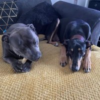 elliemayginfizz (@elliemayginfizz) 's Twitter Profile