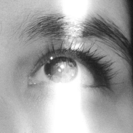 majogzc's profile picture. 👁️🌿🌚⁣ 🏴