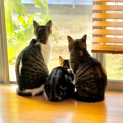 fJVKED9ixBnLDmF's profile picture. 