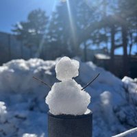 Tsume (@almost_tsume) 's Twitter Profile