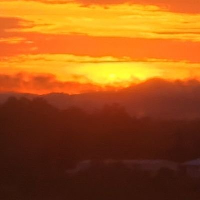 Zaan909090's profile picture. Sick of crap
No DMs please
