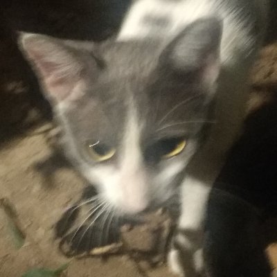 pm_spsx's profile picture. https://t.co/YvH3teSoe0 ... Sin motivos ....