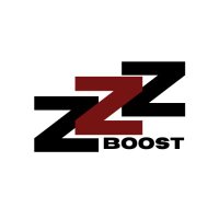 ZZZ Boost • Otimização (@zzzboost_) 's Twitter Profile