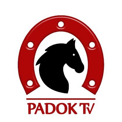 Padok TV bir youtube kanalıdır. Bu kanalda; yorumcularımız ve konukları günlük at yarışı sohbetleri yapmaktadırlar. Reklam ve iş birliği için tvpadok@gmail.com