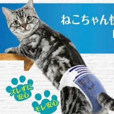 名古屋メンズエステ歴結構長め。色々なセラピストとお会いして応援するアカウントです^ ^