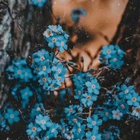 أنفال الحمود (@nfouulialhomoud) 's Twitter Profile