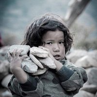 Nepali kto (@nepalik55639658) 's Twitter Profile