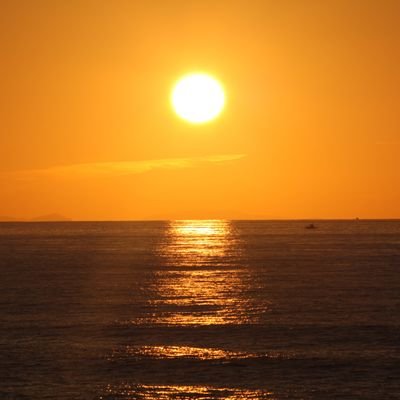 FerryFe04694819's profile picture. 