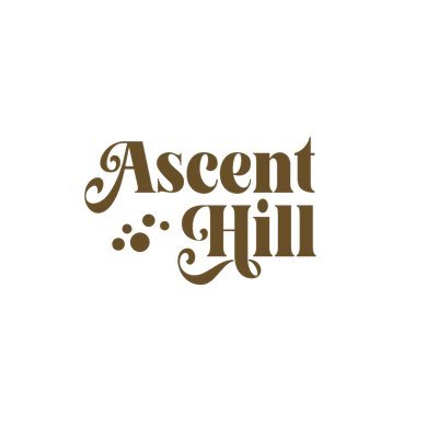 ascent hill (COMMISION OPEN)さんのプロフィール画像