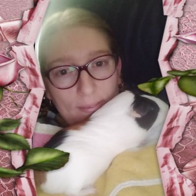 LOWYCK100's profile picture. je suis en couple donc inutile d'essayer.😉