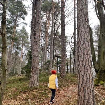 edebiyat3321's profile picture. 