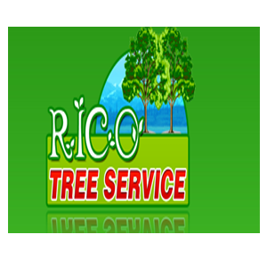 We quality and affordable Tree Service in Saint Louis MO. Call us today!
