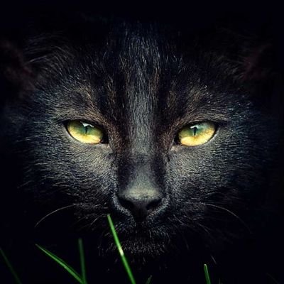 2booknote1988's profile picture. ความบันเทิงเท่านั้น