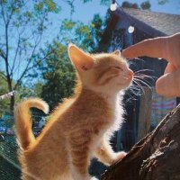 sb. (@hurra27) 's Twitter Profile Photo sb. (@hurra27) 's Twitter Profile Photo