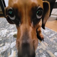 hsu (@hsu9453x) 's Twitter Profile