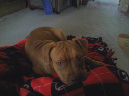 Aconrad86's profile picture. 