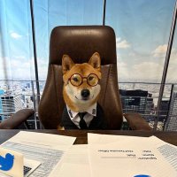 0xNFT (@0xnft_eth) 's Twitter Profile