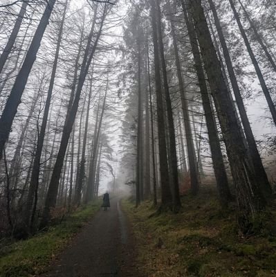 Sb13246's profile picture. 