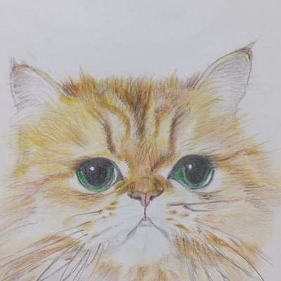 71歳👵の描いた猫イラストを私🐹がお届けします😺猫ちゃん大好き💖一時の癒しをどうぞ❗️良いご縁がありますように🍀いいね  RP  フォロー大歓迎‼️ありがとうございます💕🙇‍♀️無言フォロー失礼致します🙏X🔰  RT用垢(@OEKAKI_hamster2)