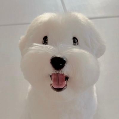 zeazonchange's profile picture. ♡