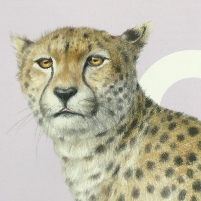 harrychuo's profile picture. 3年情報工。