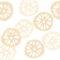 れんこん (@cadarade) 's Twitter Profile