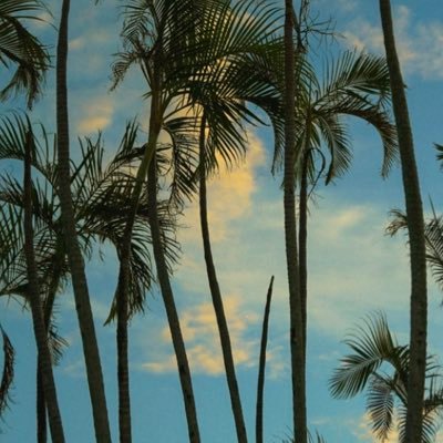 abc123hs0019's profile picture. 