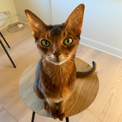 Lena12904751's profile picture. 