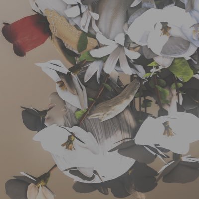 𝚊𝚔𝚎.さんのプロフィール画像