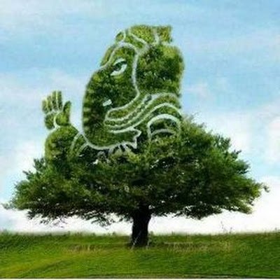 SejalParashar2's profile picture. Navodayan | IEHEian | Psychology Enthusiast| Poet|