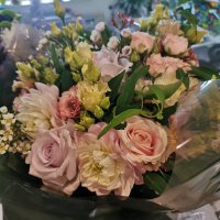 Jenny Reeve (@jenreeve190) 's Twitter Profile