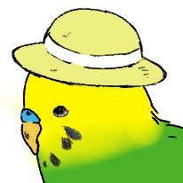ぴよきんさんのプロフィール画像