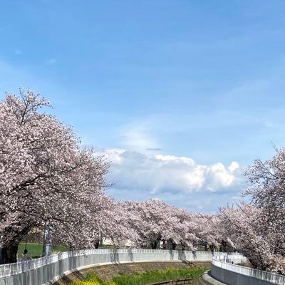 福士蒼汰くんファンです。よろしくお願いします。