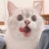 Takanuri | comms slot full (@takanuri) 's Twitter Profile