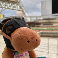 しゅり (@shuri__410) Twitter profile photo