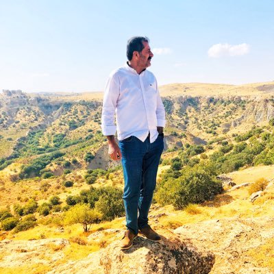 esref_mamedoglu's profile picture. 