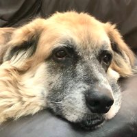 Count Zero (@neuromancer2000) 's Twitter Profile