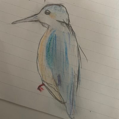 sk33550336's profile picture. 