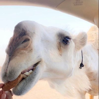 r32s36's profile picture. 